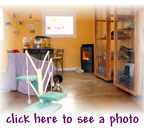 cat boarding in a home setting